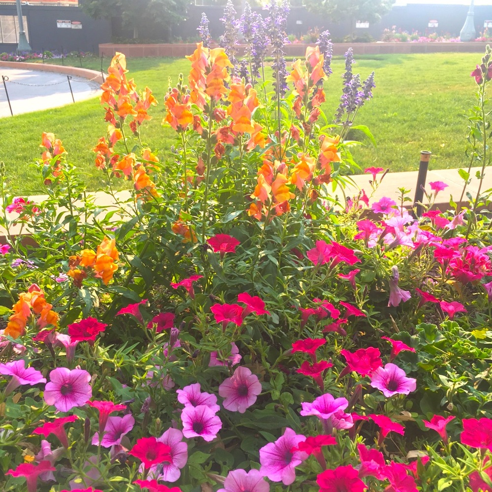 Meet your Posher, Diana